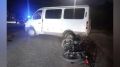 В воронежском селе Хохол «Газель» сбила 14-летних подростков на мопеде