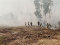 В 14 районах Воронежской области установился высочайший класс пожарной опасности