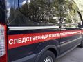 В Воронежской области по информации о причинении телесных повреждений несовершеннолетней возбуждено уголовное дело