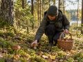 О безопасности во время «тихой охоты» напомнили воронежцам