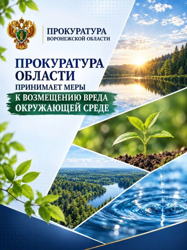 Прокуратура области принимает меры к возмещению вреда окружающей среде