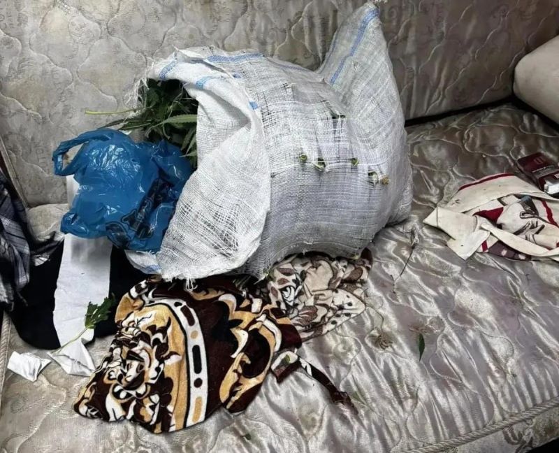 Килограмм марихуаны прятал мужчина в Воронежской области