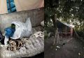 Более 1 кг марихуаны хранил у себя житель села Новохреновое в беседке