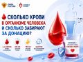 Сколько крови в организме человека и сколько забирают за донацию?