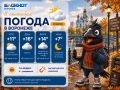 Погода 8 сентября. Утром +11 облачно с прояснениями, ветер 5 м/с