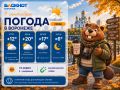 Погода 9 сентября. Утром +12 малооблачно, ветер 3 м/с, влажность 61%