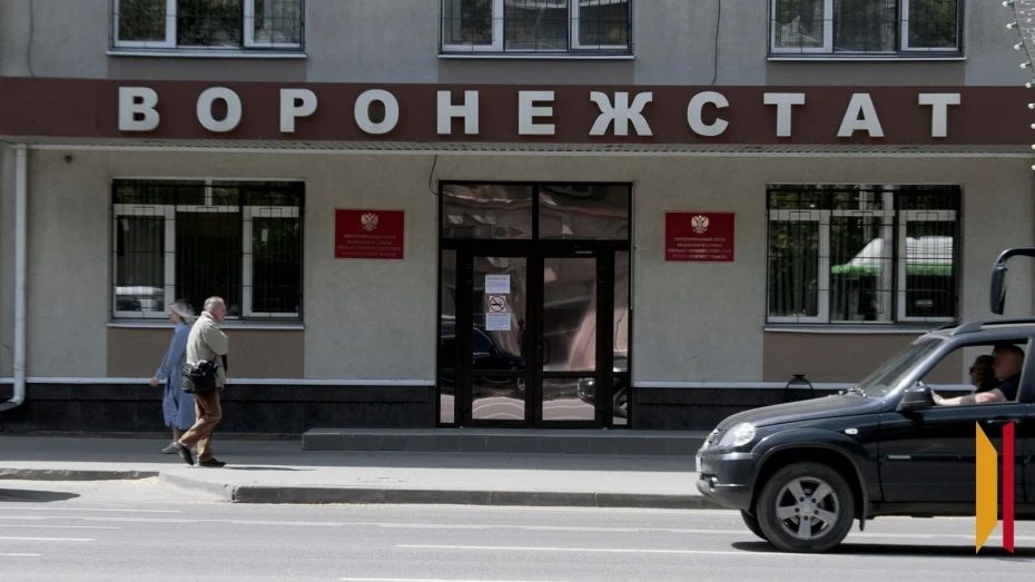 В Воронежской области с 10 сентября по 9 октября пройдет комплексное наблюдение условий жизни