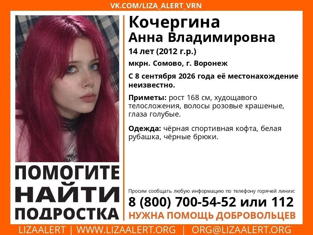 По факту таинственного исчезновения в Воронеже 14-летней Анны Кочергиной проводят доследственную проверку