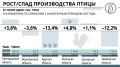 Белгородчина взмахнула крыльями: в крупнейшем по объему выпуска птицы регионе РФ восстанавливается производство