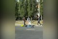 Воронежец сбил пешехода утром на Московском проспекте