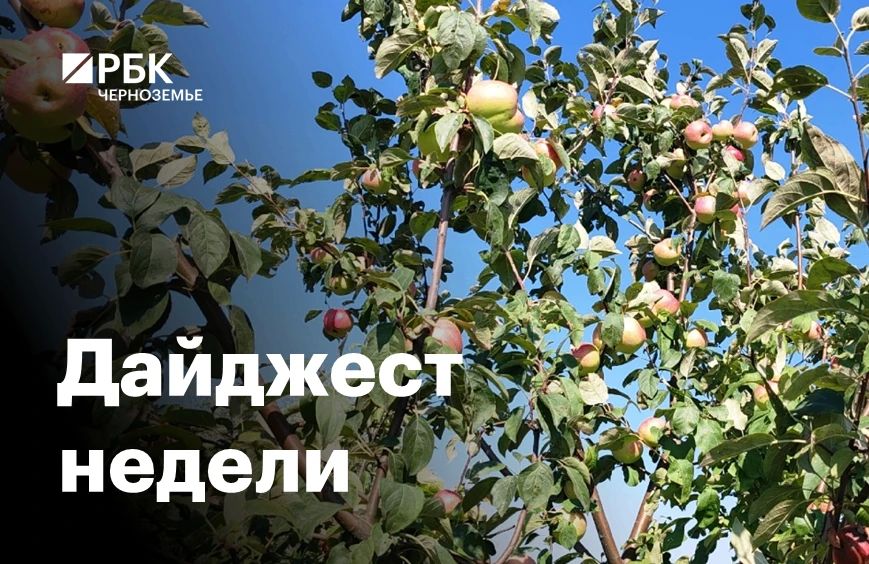 Черноземье за пять минут: поддержка аграриев и транспорт