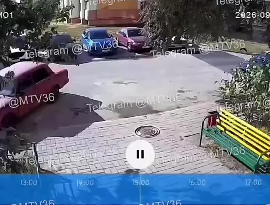 Собаки покусали 11-летнюю девочку в Воронеже