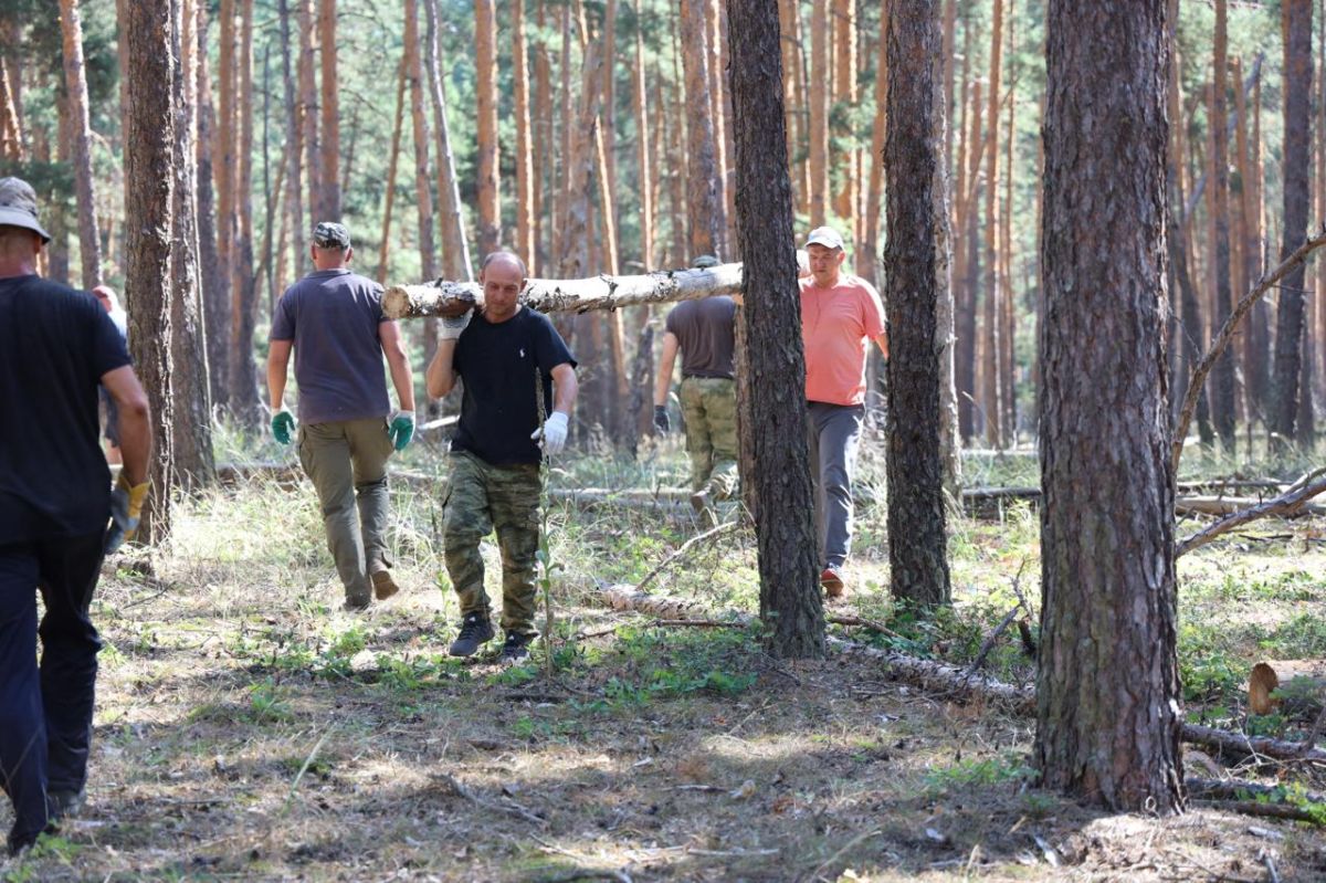 Спортсмены клуба «Барс» заготовили древесину для нужд бойцов СВО