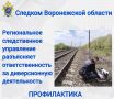 Следственное управление СК России по Воронежской области разъясняет ответственность за диверсионную деятельность