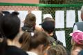 Заброшенные детские лагеря под Воронежем оценивают для реконструкции