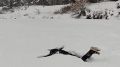 Пока в Москве заговорили о снеге, в Воронеже прогнозируют +25