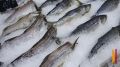 В Воронеже самая дорогая рыба и самый дешевый хлеб среди городов?миллионников