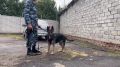 Подгоренские подростки познакомились с работой полицейских