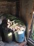 В Верхнехавском районе полицейские изъяли у местного жителя свыше 500 граммов марихуаны