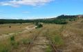 РЖДстрой продаёт заброшенную железную дорогу в Воронежской области