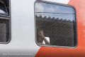 Пассажиропоток между Воронежем и Белгородом вырос более чем на 20%