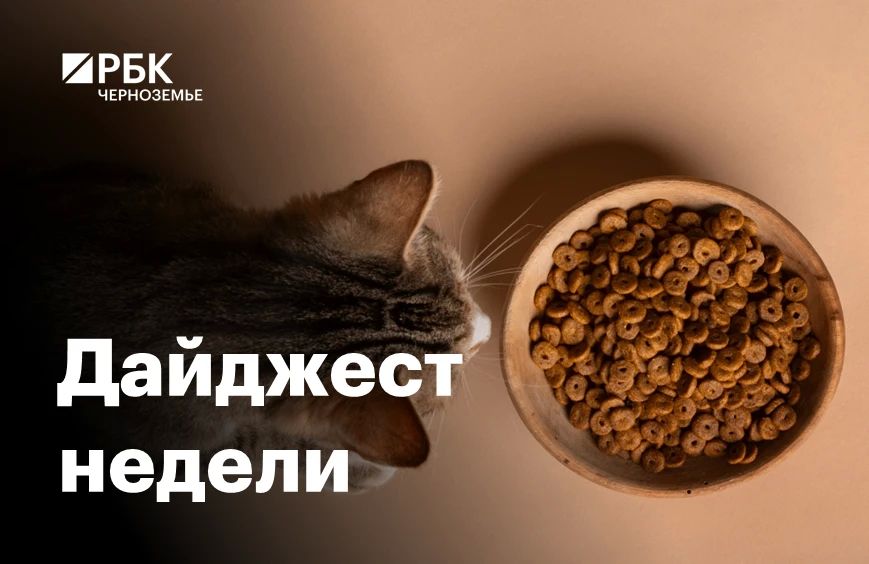 Черноземье за пять минут: завод кормов и новая региональная должность