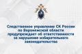 Следственное управление СК России по Воронежской области предупреждает об ответственности за нарушение избирательного законодательства