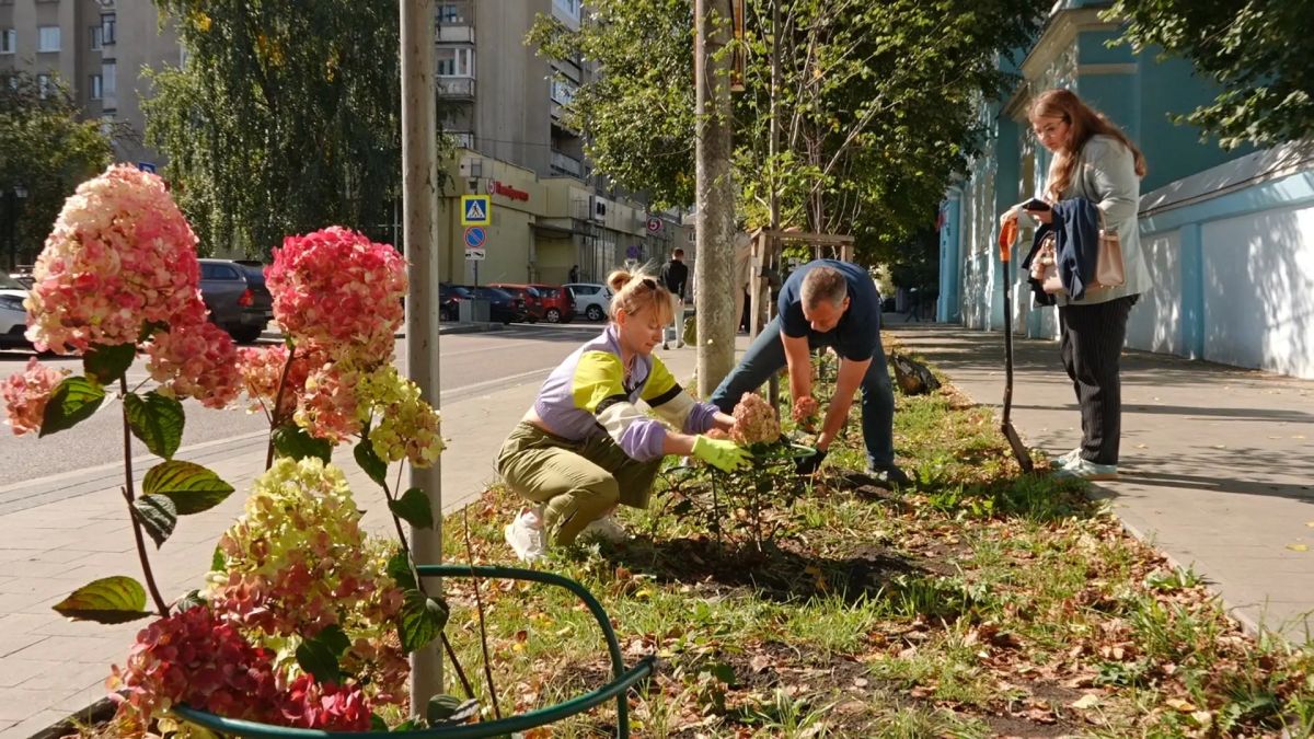 Активисты превращают улицу Пушкинскую в цветущий бульвар