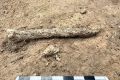 Археологи нашли на стоянке древних людей под Воронежем украшения из ракушек