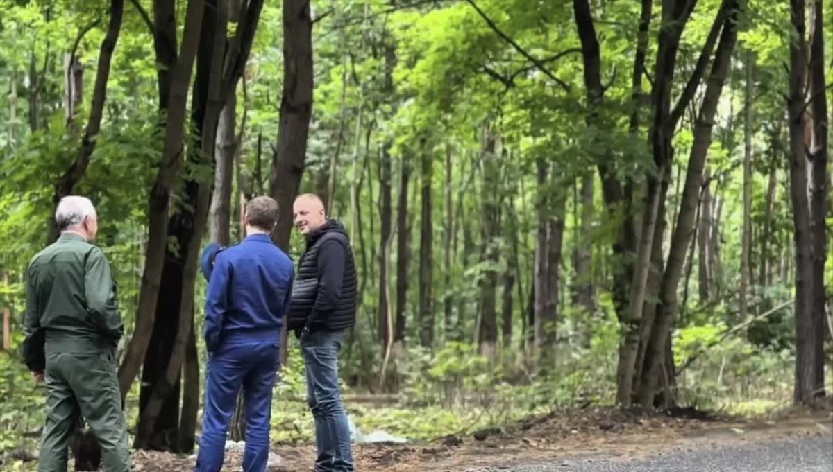 В лесах Воронежа нашли несанкционированные свалки