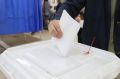 Второй день выборов в Воронежской области: явка, фейки и мыши