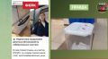 Неопломбированные урны в Новой Усмани оказались фейком