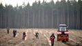 Губернатор Воронежской области Александр Гусев поздравил специалистов с Днем работников леса