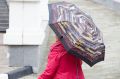 Теплое начало недели в Воронежской области сменится похолоданием к четвергу