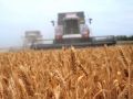 Как подружиться с белочками, рассказали специалисты