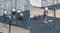 Спортивную площадку во дворе дома в Шилово начали разбирать по частям