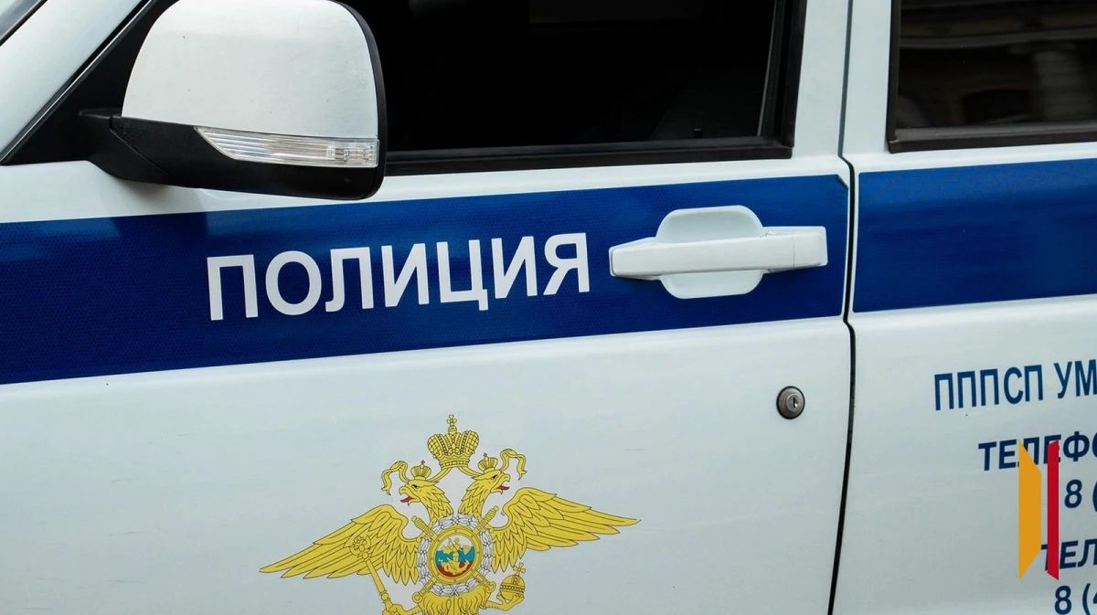 Кодовое слово «Телзап»: в Воронеже мошенники лишили пенсионерку квартиры и 7,7 млн рублей