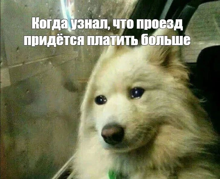 Проезд в общественном транспорте Воронежа может подорожать на 3-5 рублей
