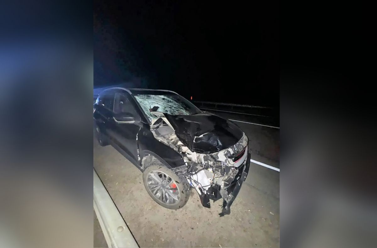 Автомобиль «БелДжи» насмерть сбил пешехода на борисоглебской трассе