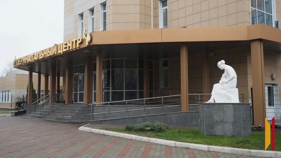 Экскурсию для будущих мам организует перинатальный центр в Воронеже 25 сентября