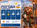 Погода 23 сентября:. Утро +16, облачно, ветер 4 м/с