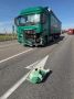 В Грибановском районе сотрудники полиции устанавливают обстоятельства столкновения транспортных средств