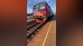 Воронежцы заметили школьников-зацеперов на железнодорожной станции Центральный Парк