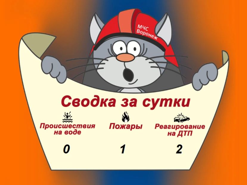 Оперативная сводка за сутки
