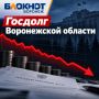 Что происходит с госдолгом Воронежской области?