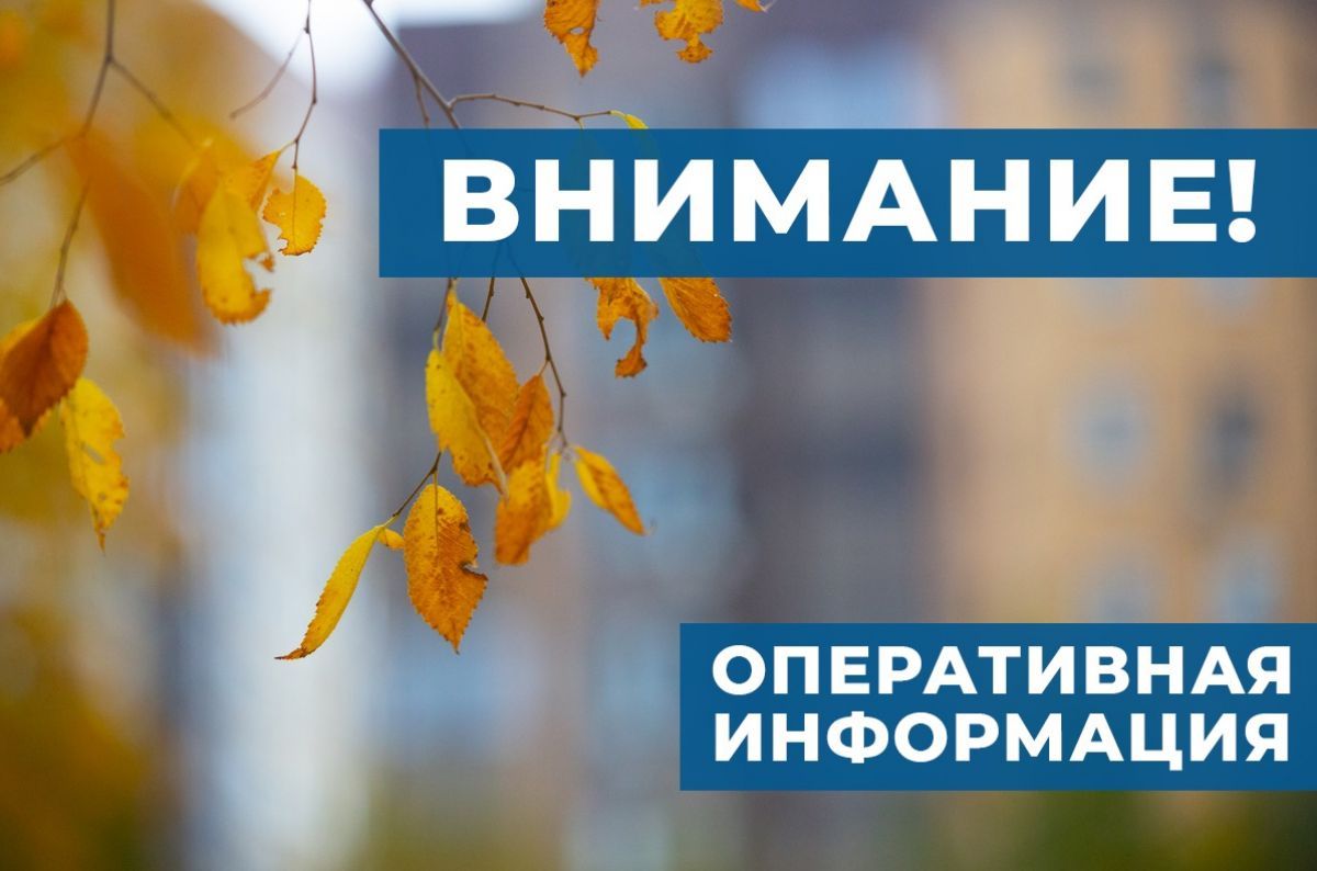 В Воронежской области объявлена опасность атаки БПЛА!