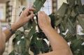 Борисоглебские волонтёры сплели 17 маскировочных сетей для военнослужащих