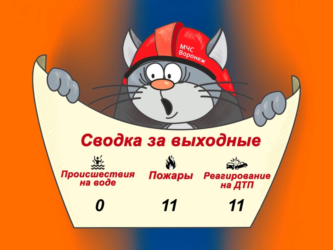 Оперативная сводка за выходные