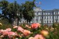 Следить за новостями культуры, образования, спорта, экологии, дорожного хозяйства и ЖКХ стало проще