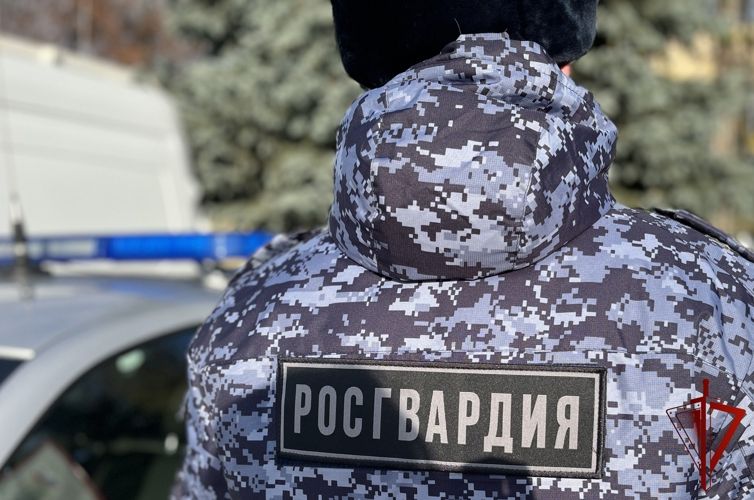 Более 220 раз за прошедшую неделю росгвардейцы в Воронежской области выезжали по сигналу «Тревога»